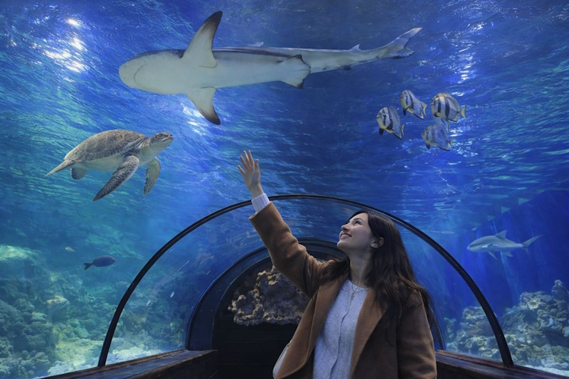 Океанаріум Київ