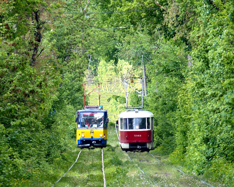 Парк Пуща Водиця