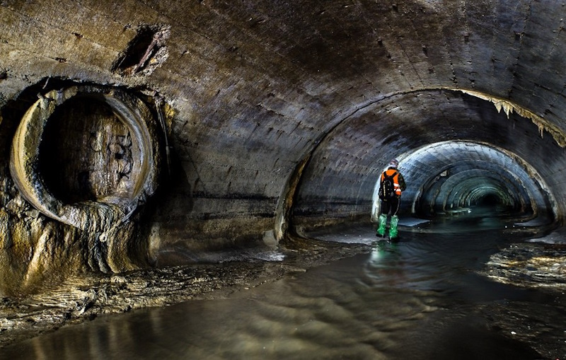 Місцевий сленг