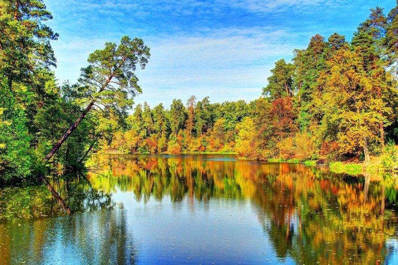 Парк Пуща Водиця