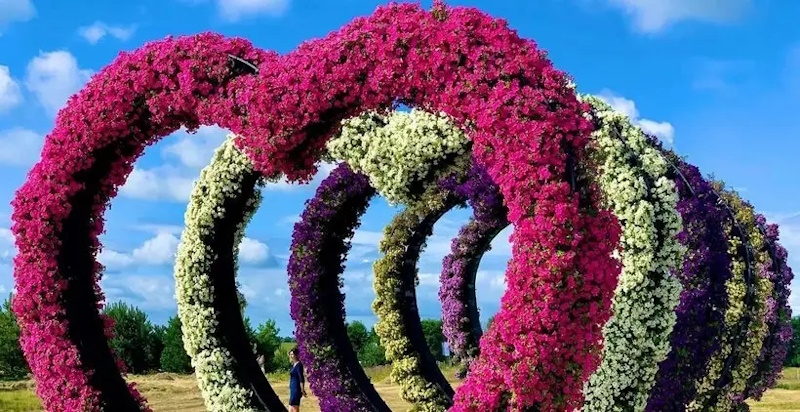 Добропарк київ