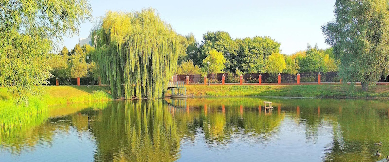 Парк Відрадний у Києві