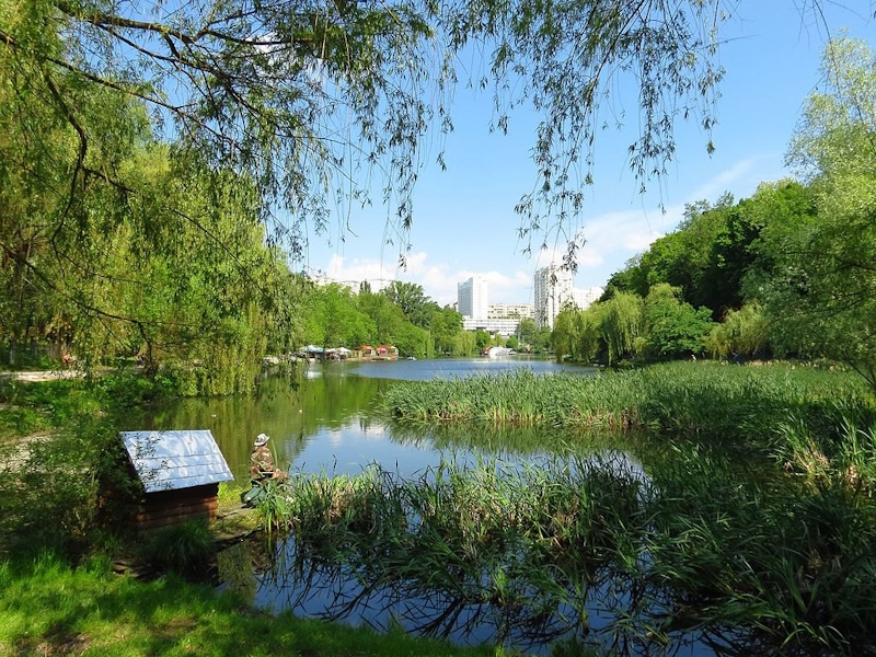 Голосіївський парк у Києві