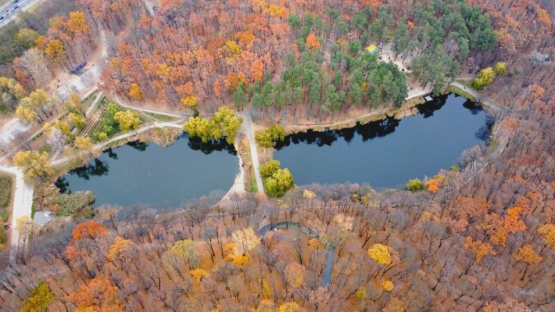 Голосіївський парк у Києві