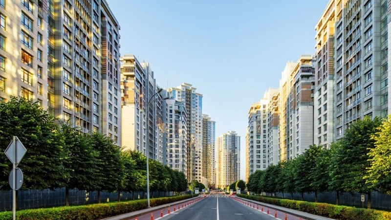 Новопечерські Липки