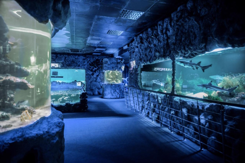 Океанаріум Київ