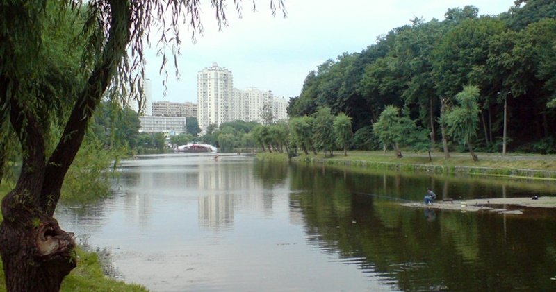 Голосіївський парк у Києві