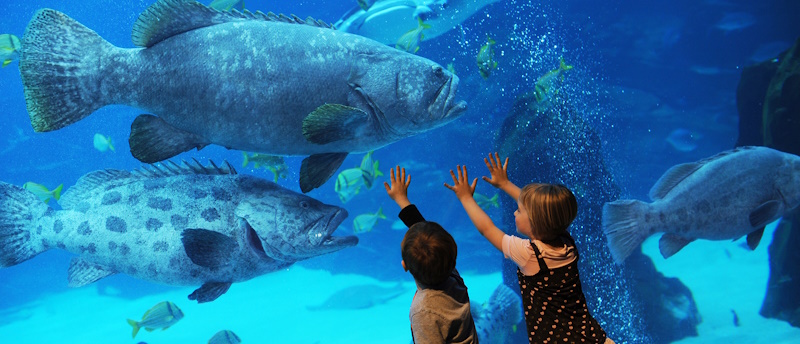 Океанаріум Київ
