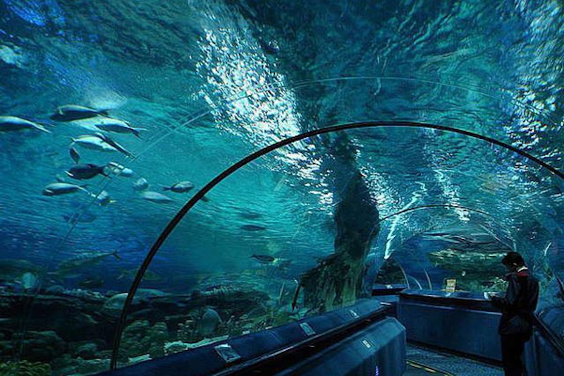 Океанаріум Київ