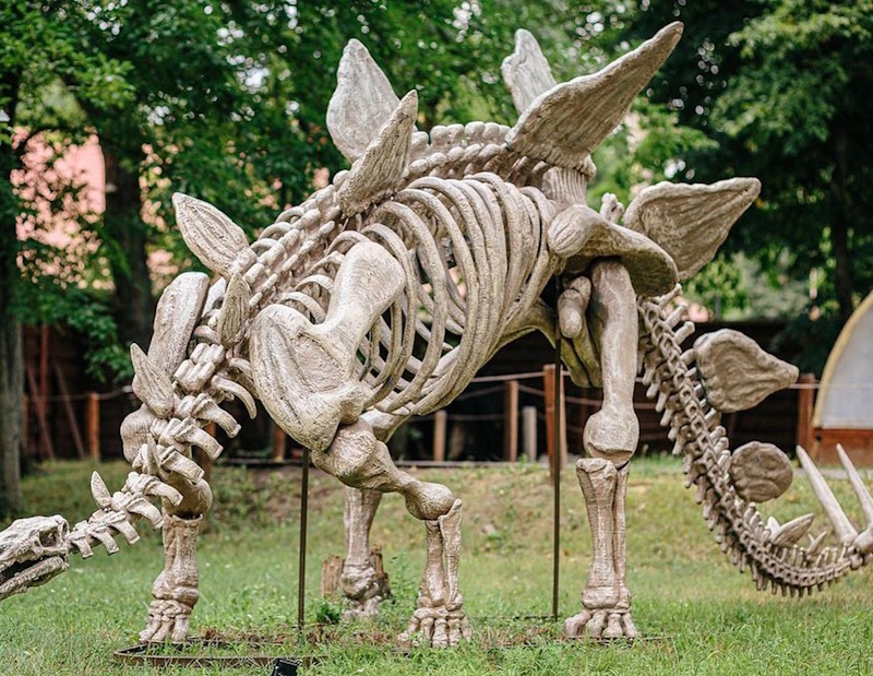 Парк динозаврів Київ