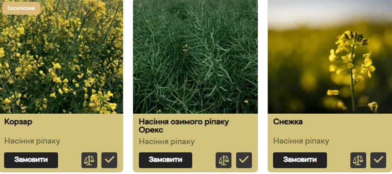 IMG_01 Озимий ріпак перед зимівлею